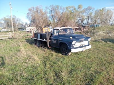 "55" Chevrolet Flatbed