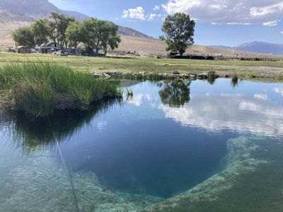 Blue Eagle Ranch