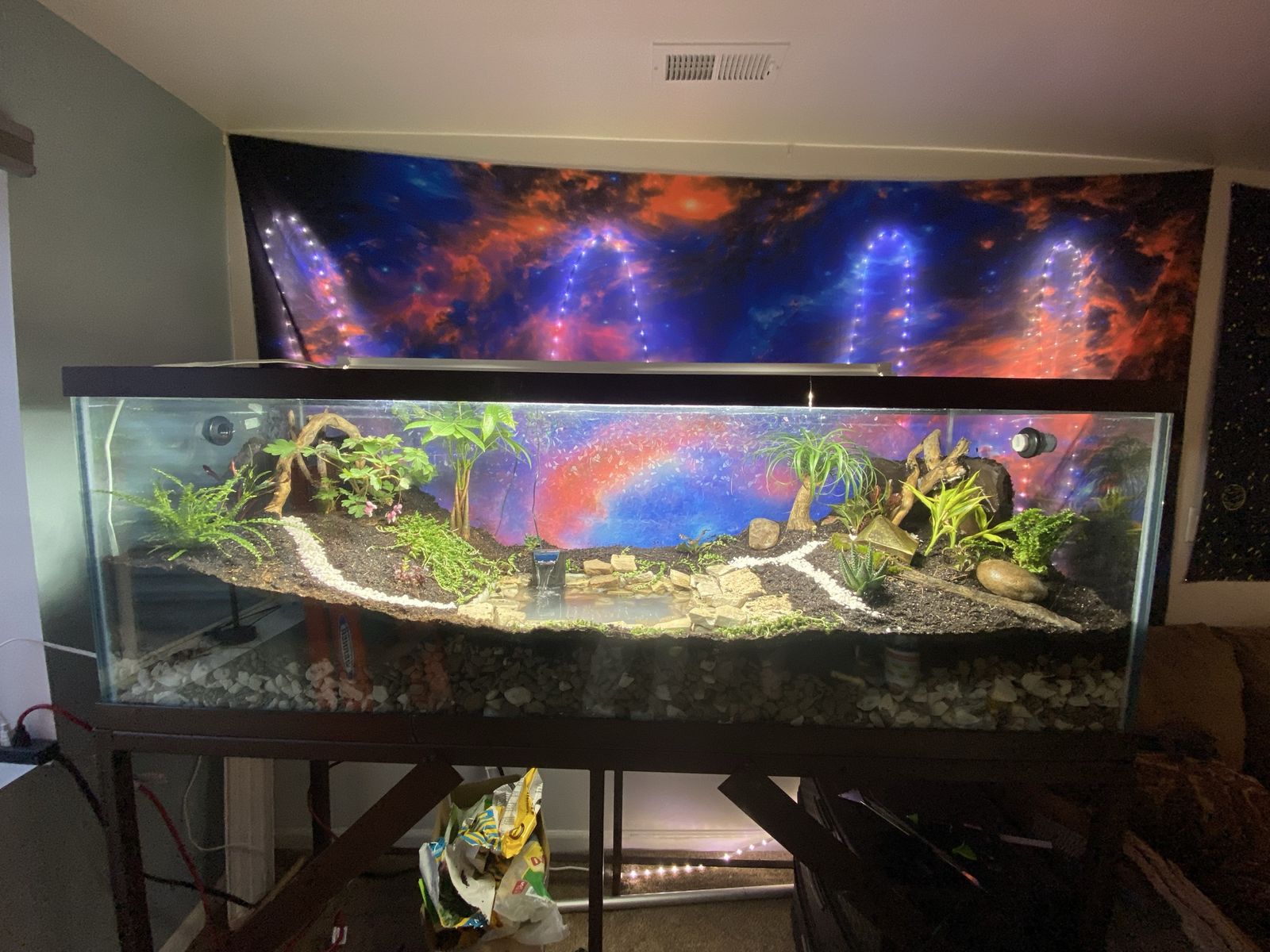 100 gal. Fish tank/Terrarium