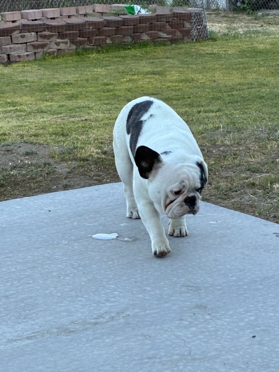 Main image 6