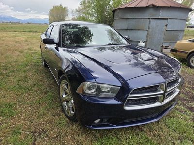 Dodge Charger 2013