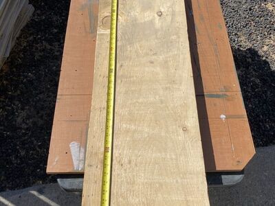 Spalted Pine Wood Slab Beetlekill