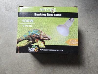 Reptile 100W Basking Spot Lamp - 2 Pack Daylight Bulbs for Reptile Enclosures