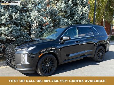 2025 Hyundai Palisade Calligraphy Night Edition