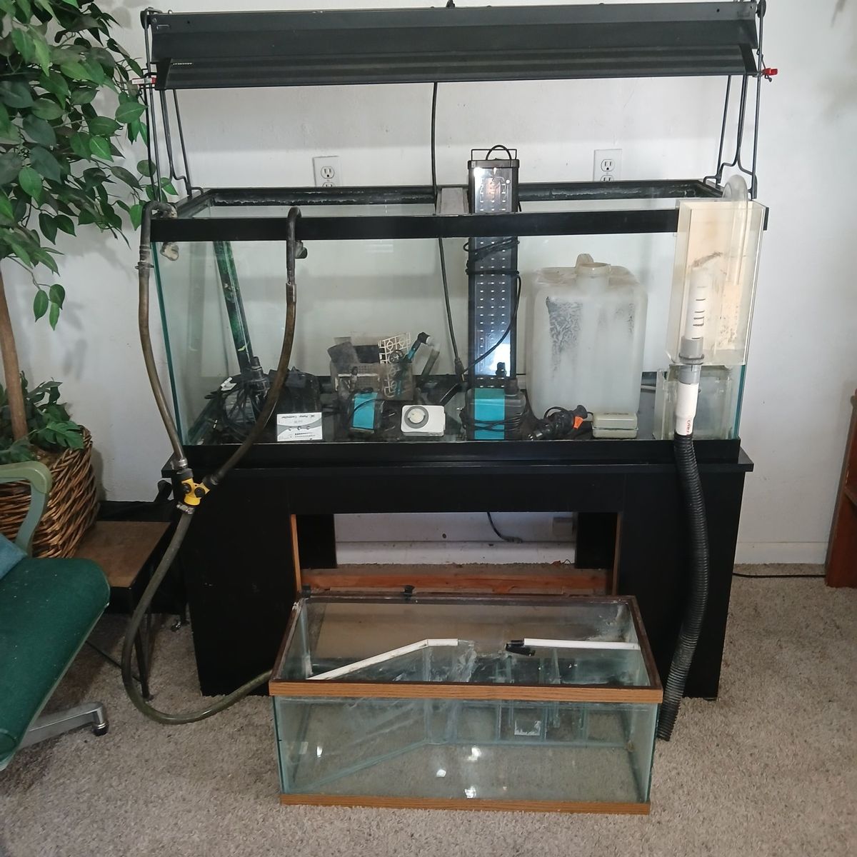 75 gallon