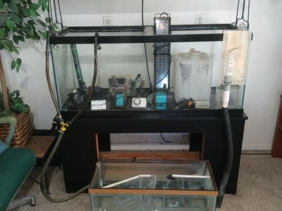 75 gallon