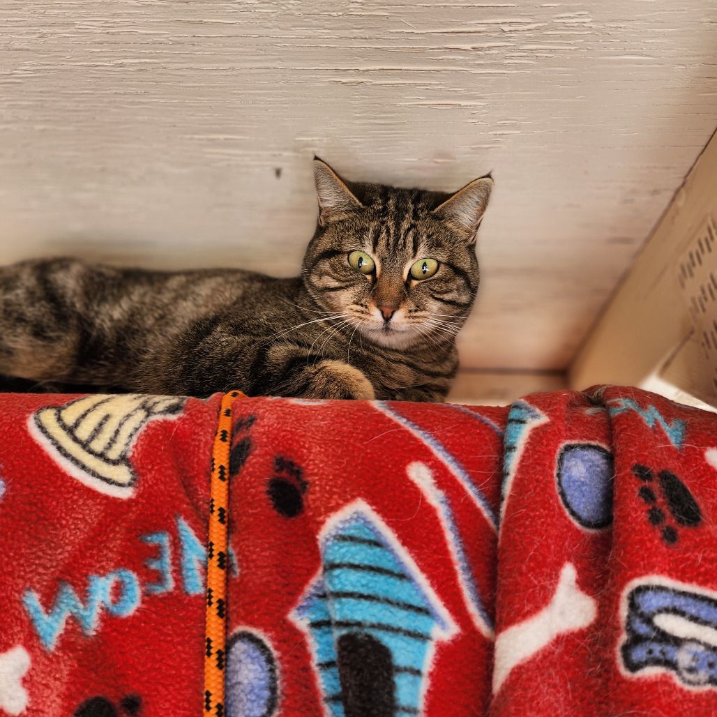 Hello my name is Bertha