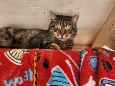 Hello my name is Bertha