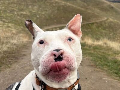 Hello my name is Kayak