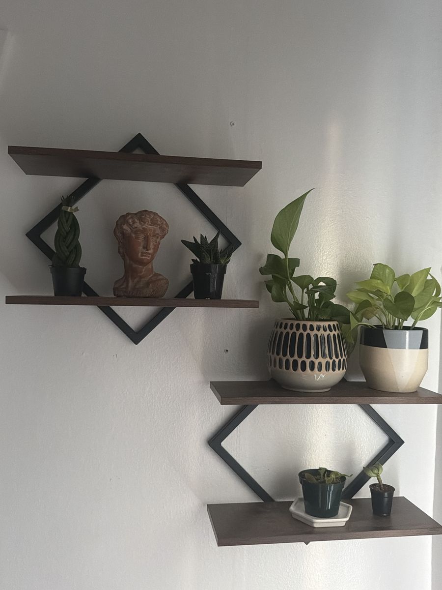 New shelves including plants  