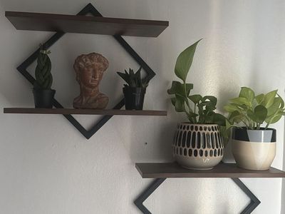 New shelves including plants