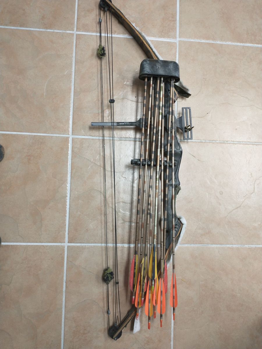 Compound Bow w/Broad Heads