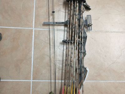 Compound Bow w/Broad Heads