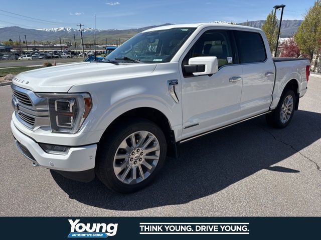2023 Ford F-150 Limited