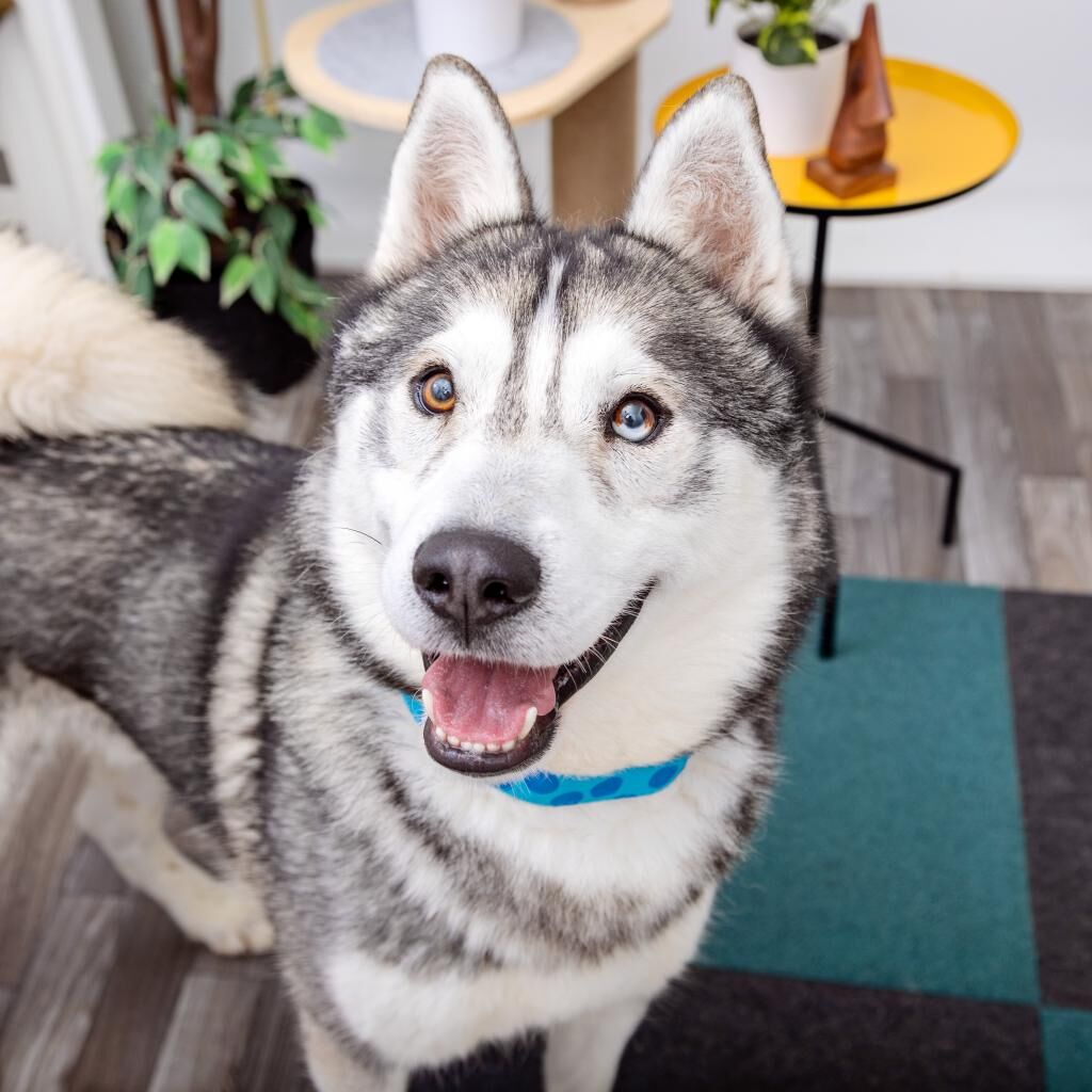 Hello my name is Cecil