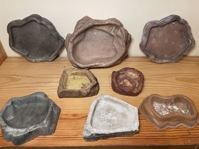 Reptile Food & Water Dishes