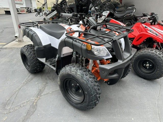 2026 Kayo BULL 150 EFI