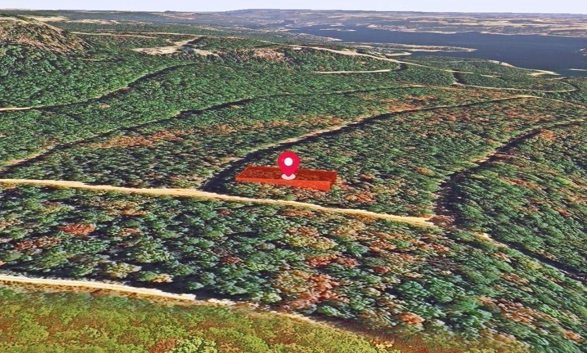 Main image 5
