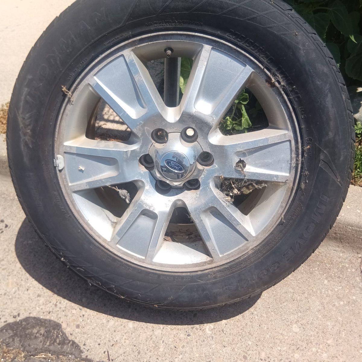rims  All four