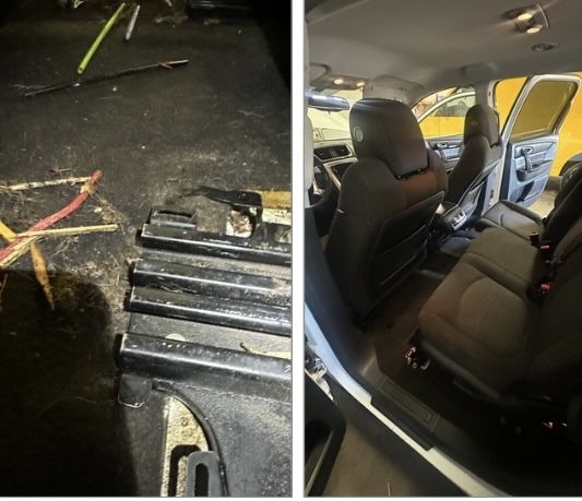 Interior Car Detailing – Deep Cleaning & Dog Hair