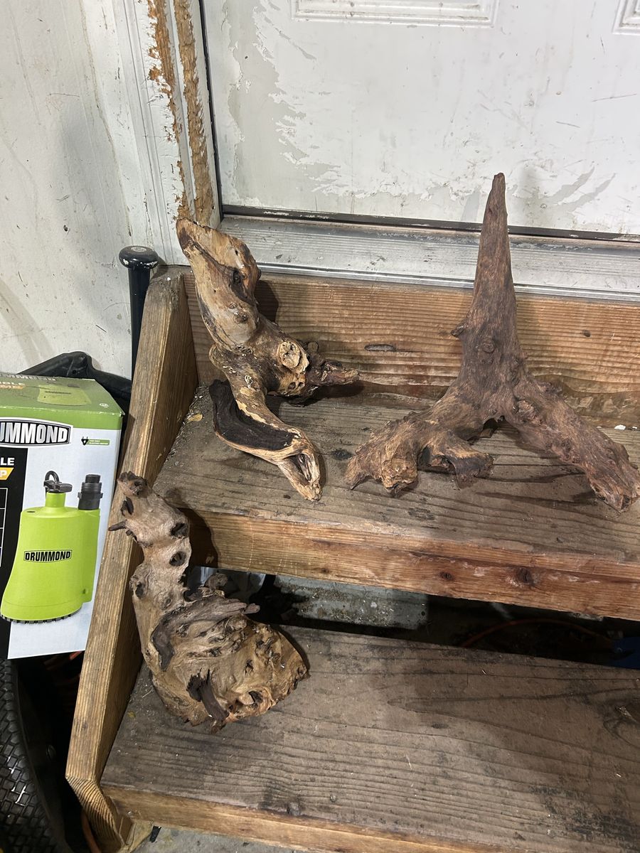 Terrarium wood