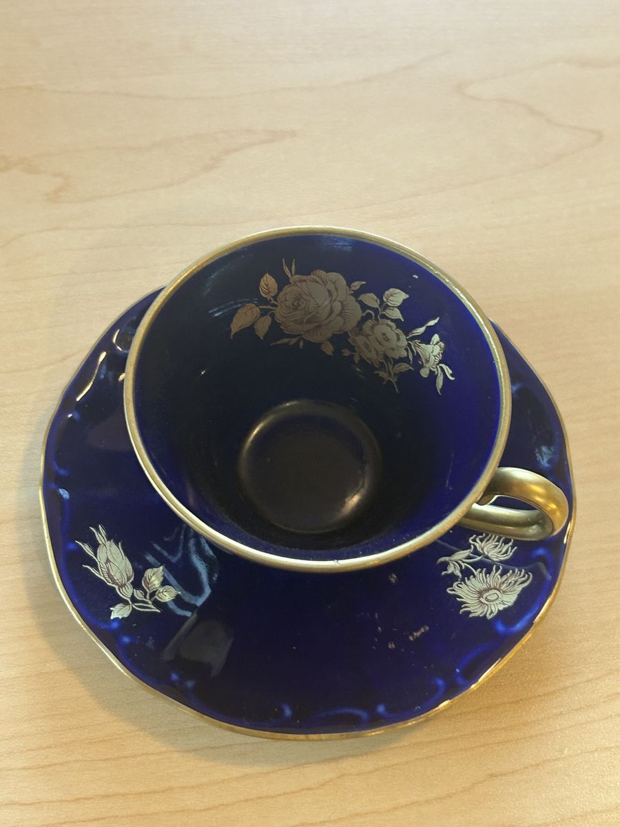 Echt Cobalt Bareuther Waldsassen Bavaria 22kt Cup & Saucer