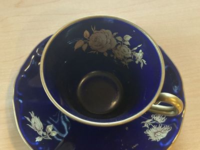 Echt Cobalt Bareuther Waldsassen Bavaria 22kt Cup & Saucer