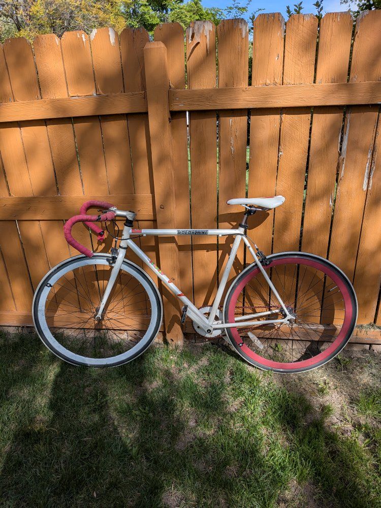 Single speed / fixie