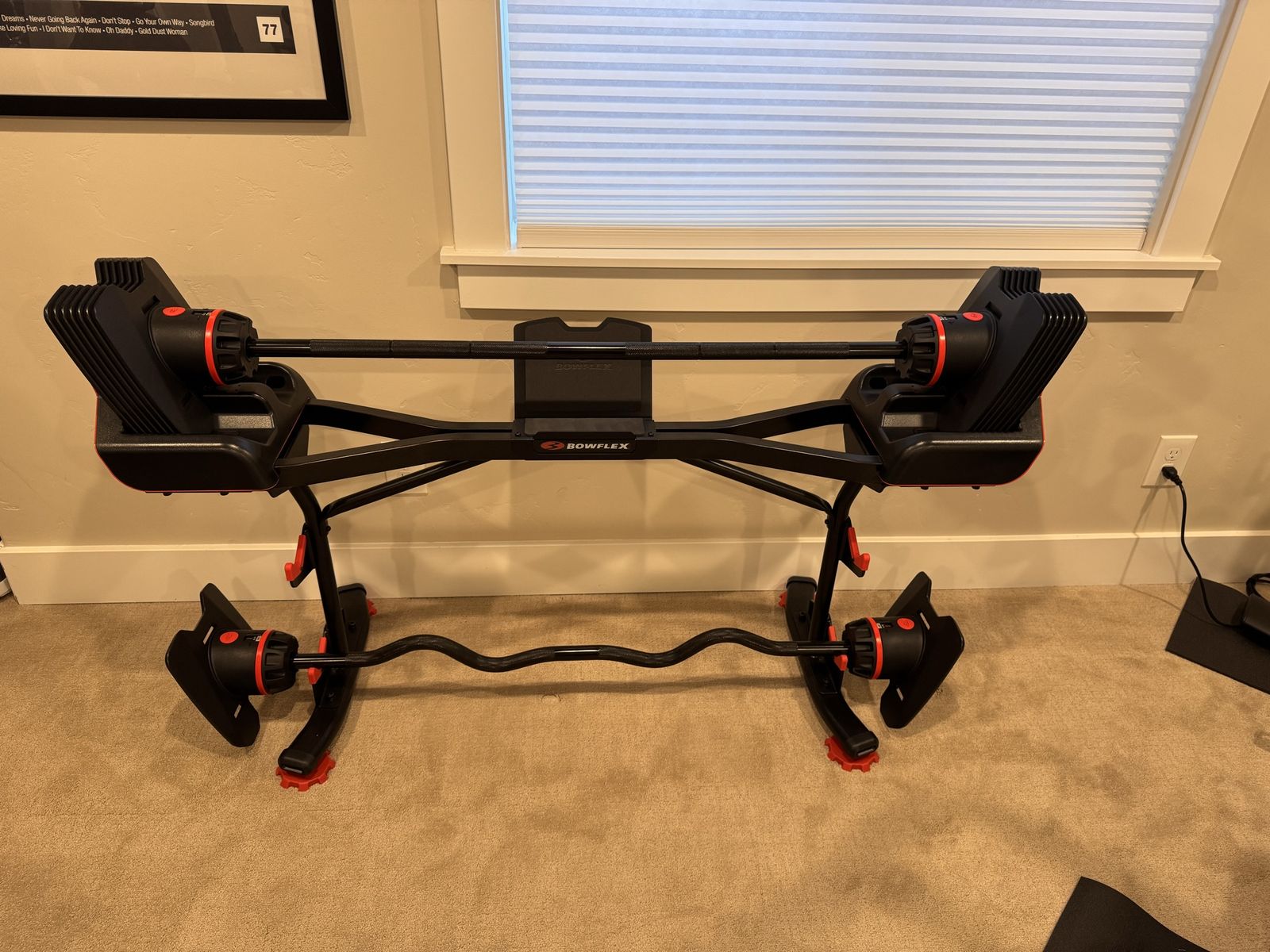 Bowflex SelectTech 2080 Adjustable Barbell with Curl bar and Stand