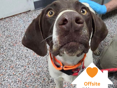 Hello my name is Clyde