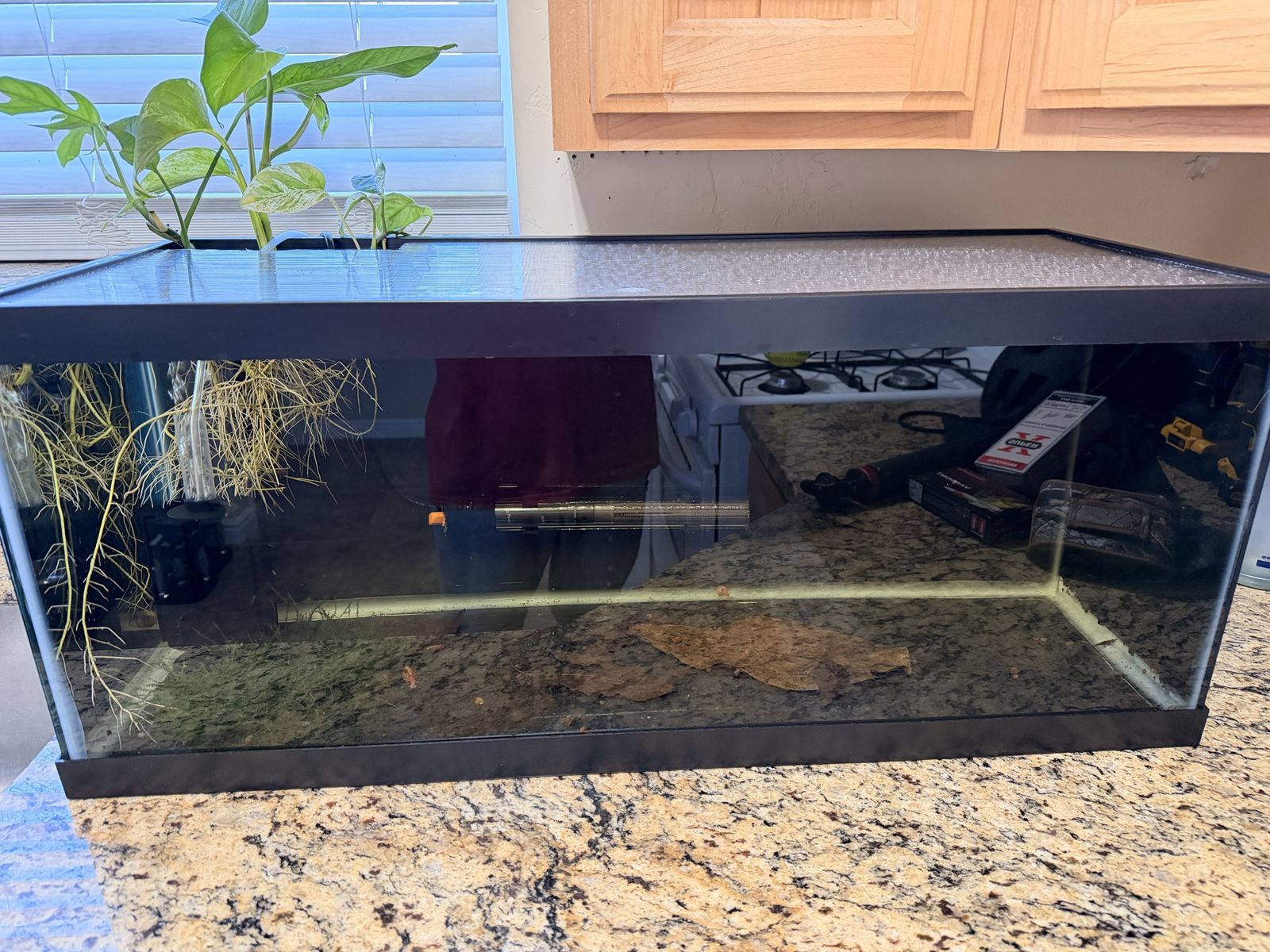 20 gallon tank with everything