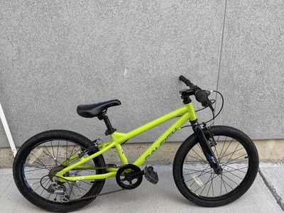 Raleigh 20" Kids Bike - Yellow/Green, Shimano Components