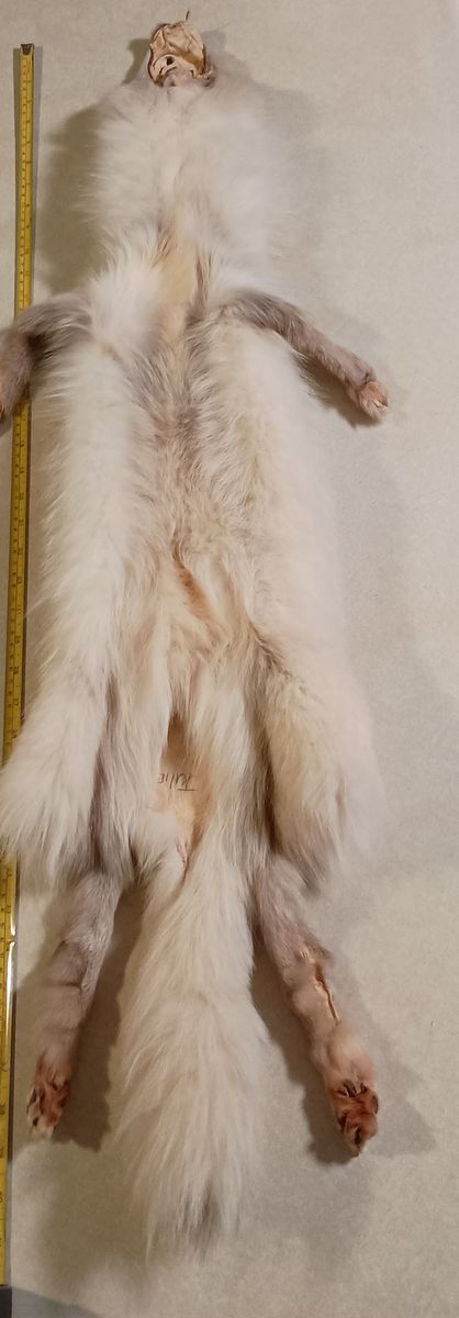 Genuine White Fox Fur Throw - Luxury Pelt