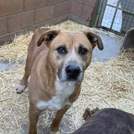 Hello my name is Stone