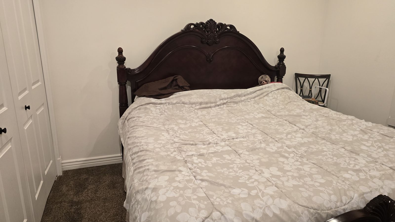 Main image 6