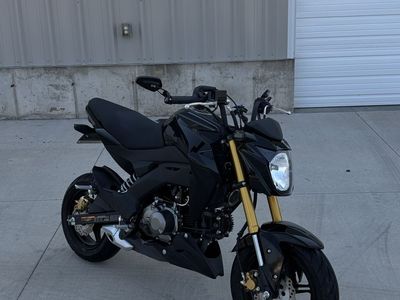 2023 Kawasaki Z125 Pro