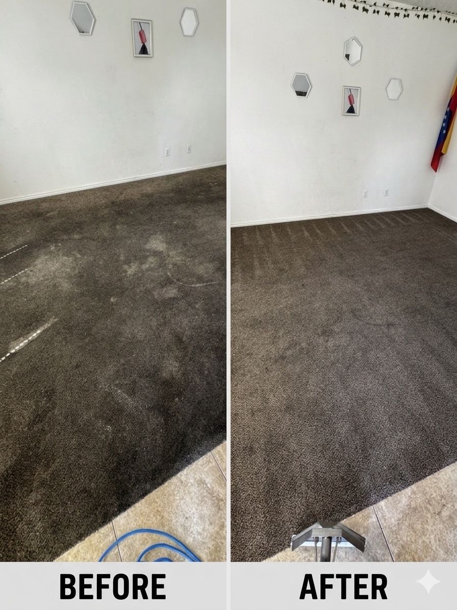 Carpet cleaner