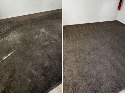 Carpet cleaner
