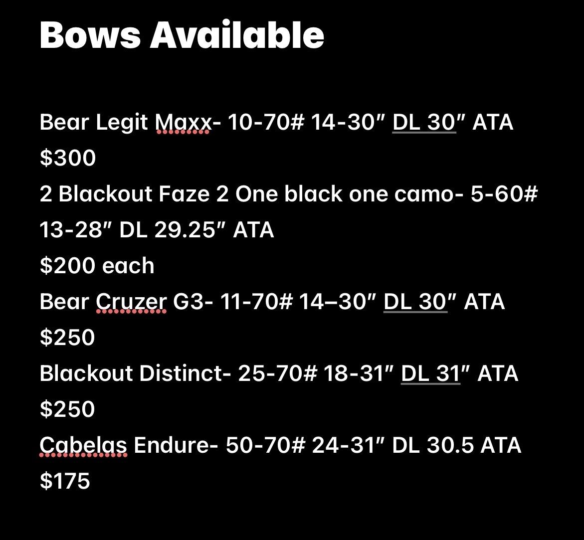 Bear and Blackout Bows