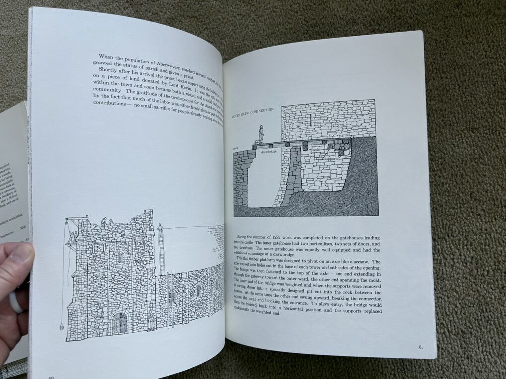 Main image 10