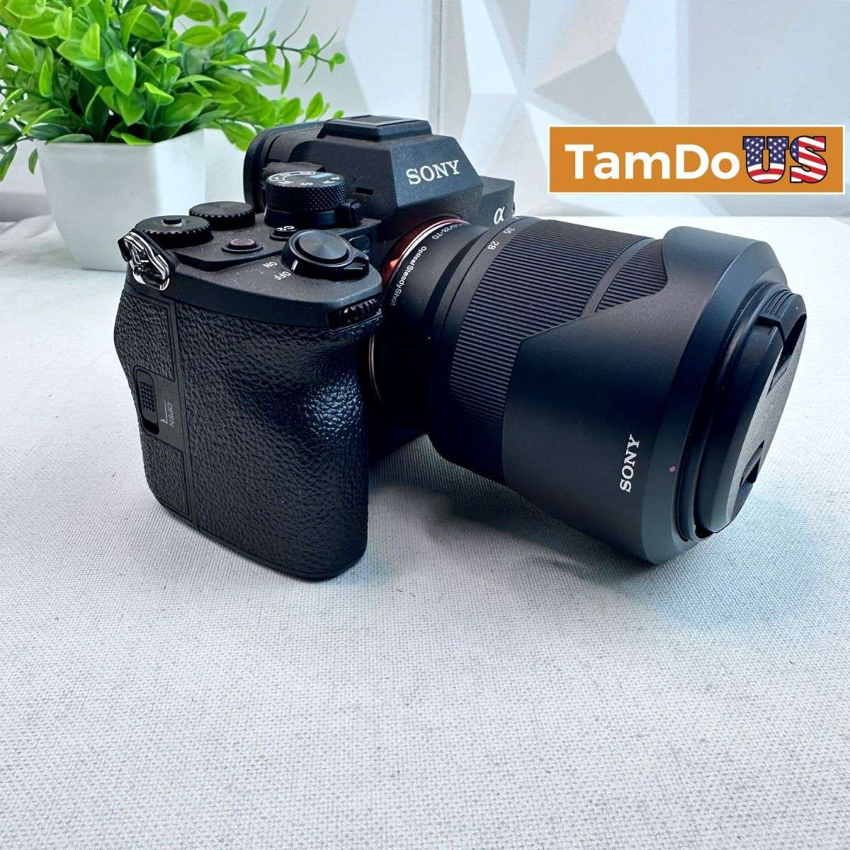 Sony Mirrorless Cameras & E-Mount Lenses Available Now