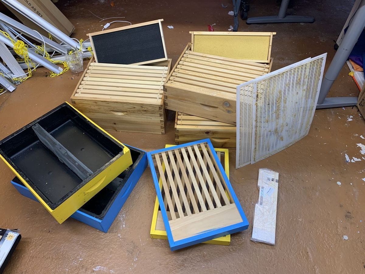 Main image 1