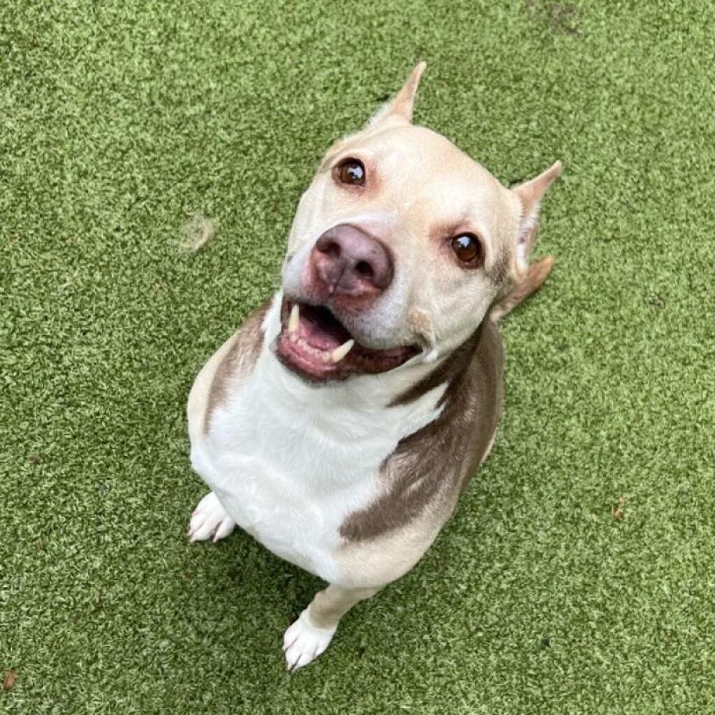 Hello my name is Zizzo