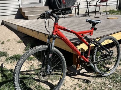 DiamondBack Mountain Bike