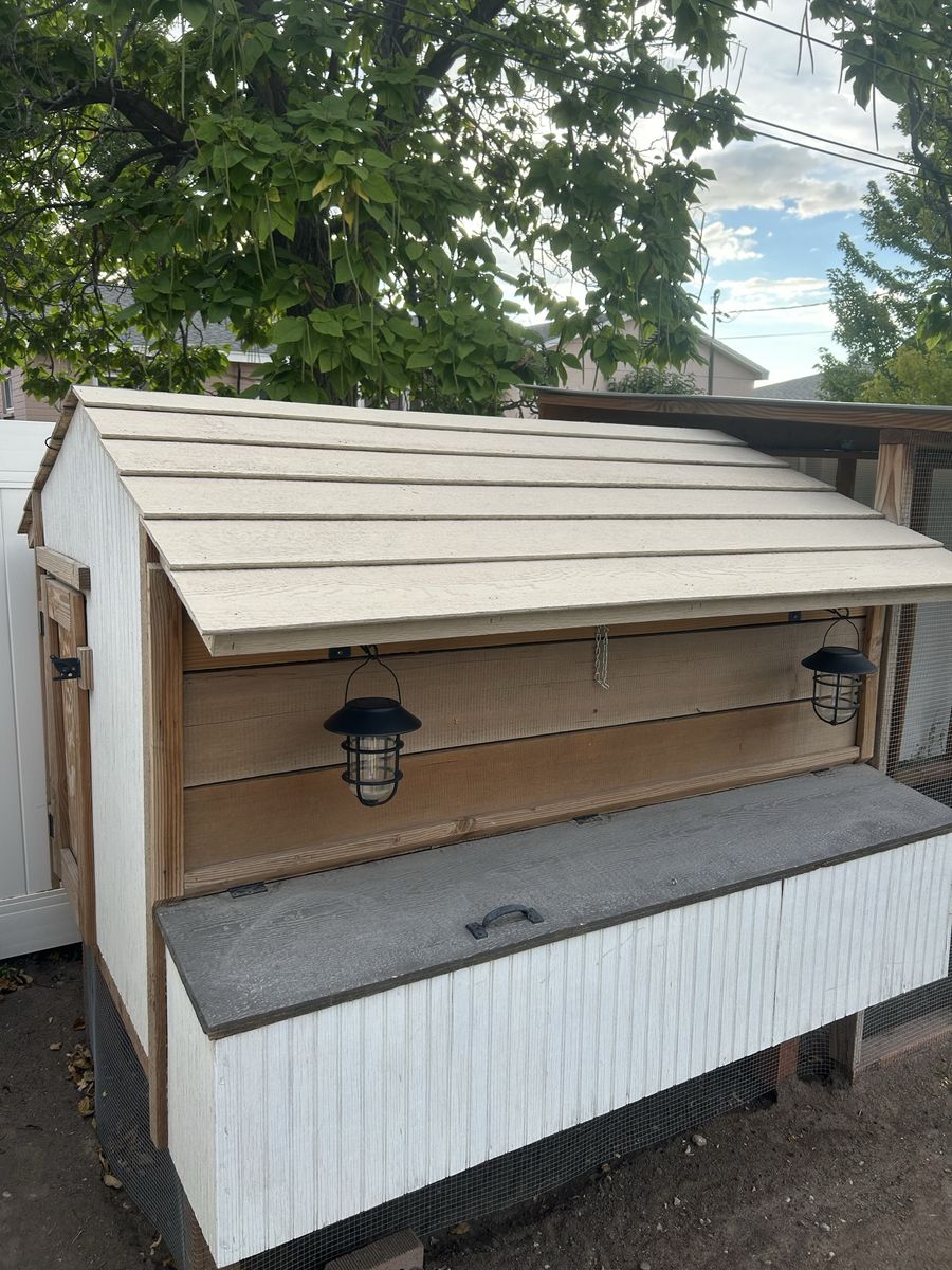 Chicken coop and run