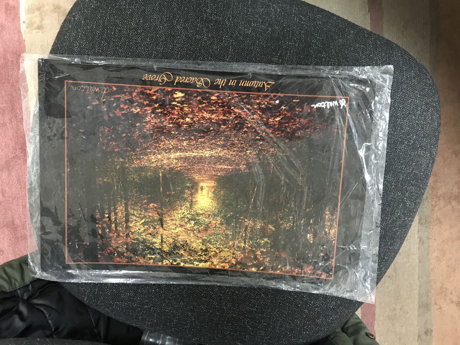 Autumn in the Sacred Grove by DB Walton