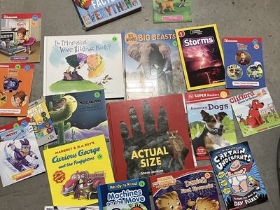 books, stories, reading curious George, homeschool