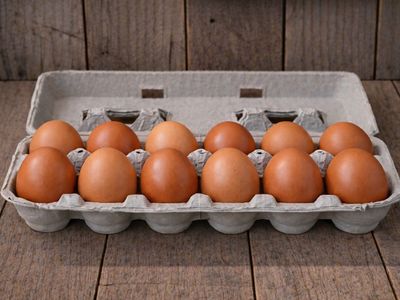 Eating Eggs - Chicken Eggs- XL eggs from Healthy Backyard flock