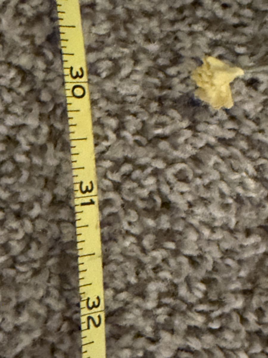 Main image 5