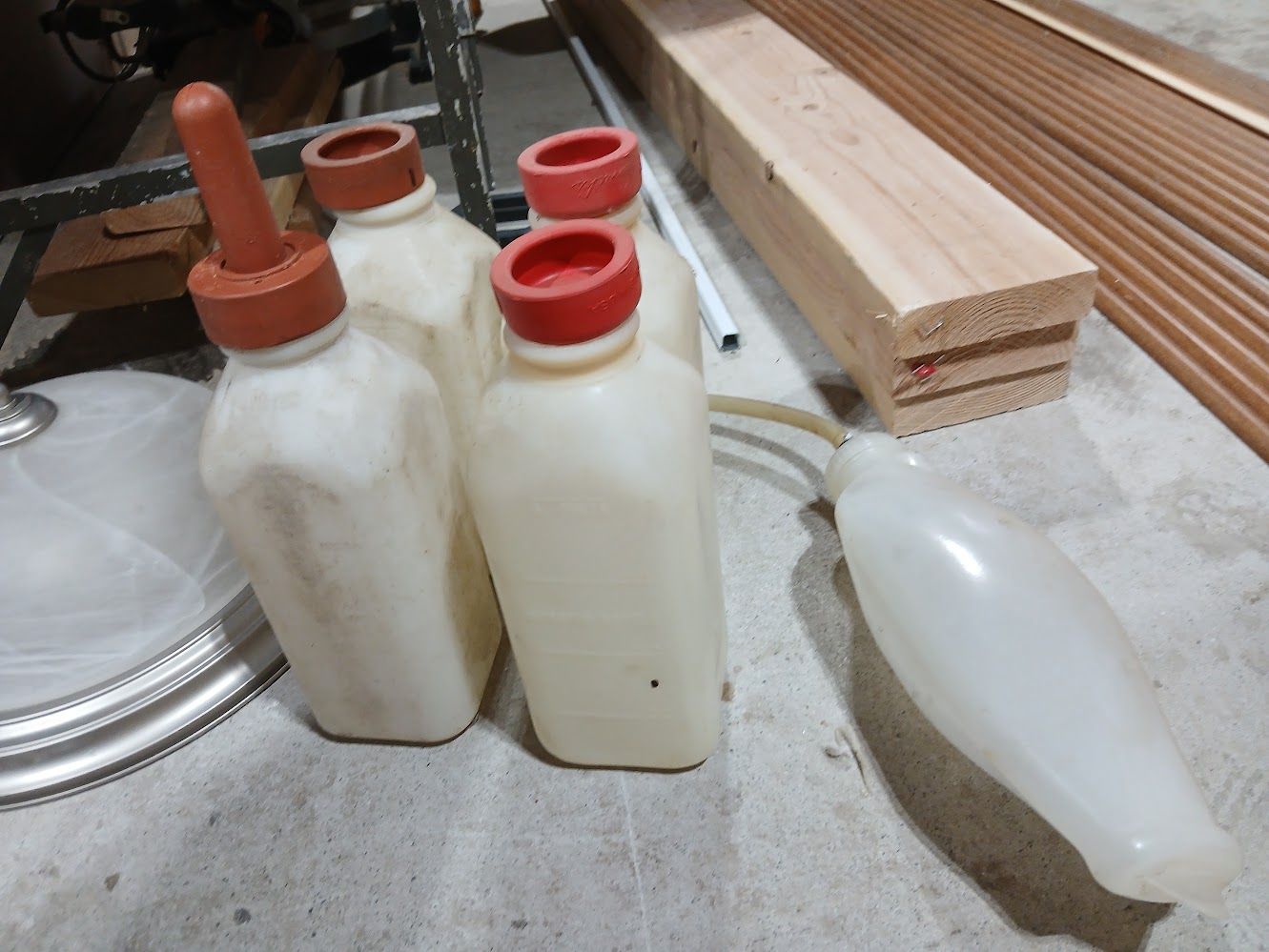 Bottle calf